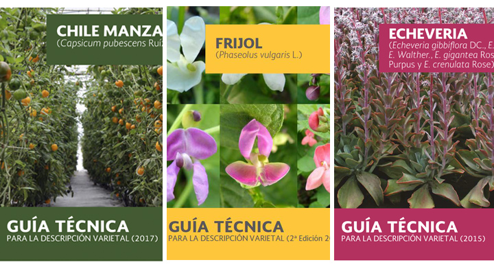 Portadas Guías Técnicas